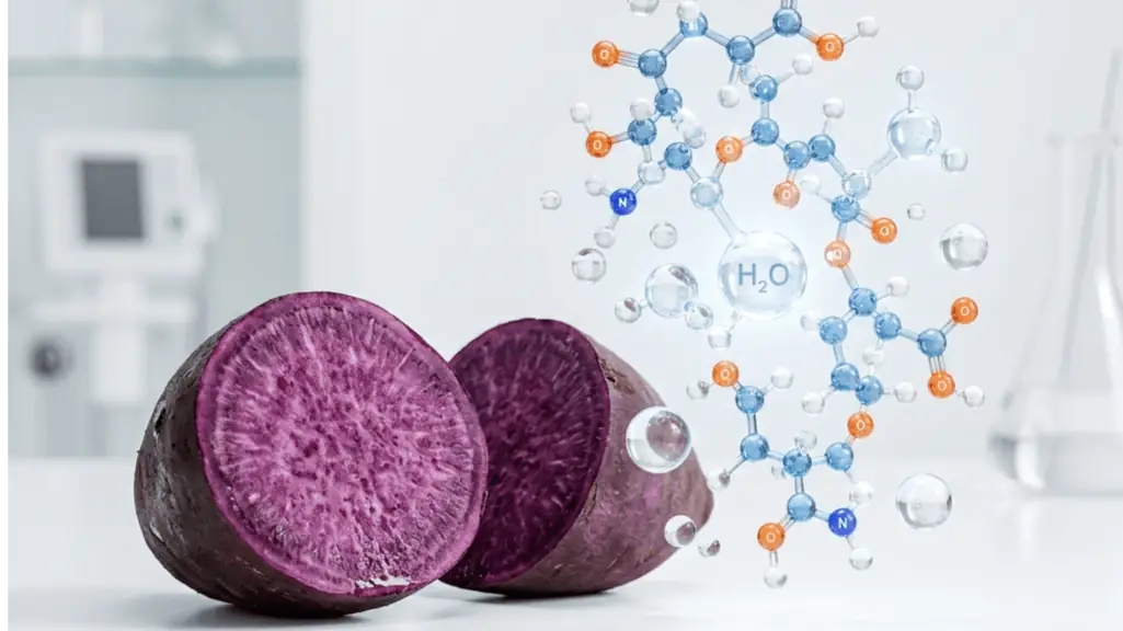 Joint Genesis Active Ingredients