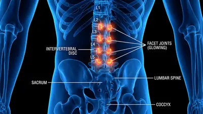 VitaMotion Review: A Physical Therapist's Honest Opinion
